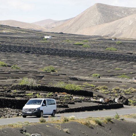 4x4 Tour: Aromen von Lanzarote