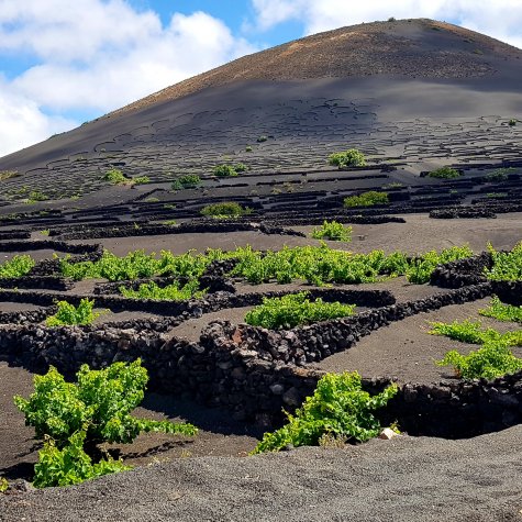 4x4 Tour: Aromen von Lanzarote