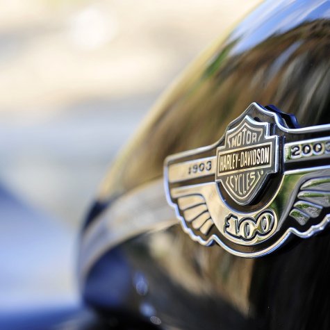  Harley-Davidson Experience auf Lanzarote: Entdecken Sie die Insel auf Rädern
